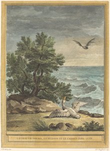 Die Fledermaus, der Busch und die Ente