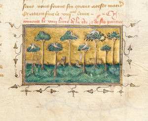 Detail einer Seite aus "De Proprietatibus Rerum" von Bartholomeus Anglicus, in der französischen Übersetzung von Jean Corbechon
