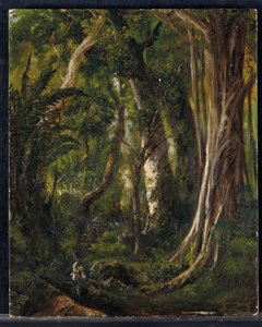 Reisende in einem kubanischen Wald von Pierre Toussaint Frédéric Mialhe