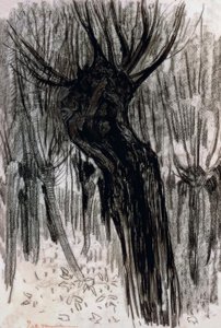 Weiden, 1902-1904