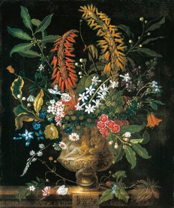 Januar, aus Die zwölf Monate der Blumen, ein Blumenkalender von Stillleben