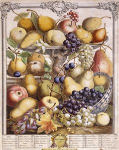 November 1732, zeigt saisonale Äpfel, Birnen, Trauben usw., 1732