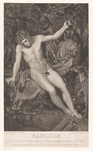 Narziss am Wasser von Pieter Jan de Vlamynck