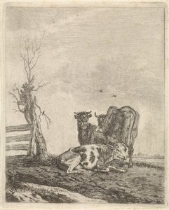 Landschaft mit drei Kühen