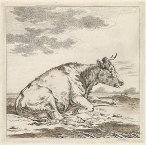 Liegende Kuh, nach rechts von Pieter Janson