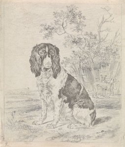Sitzender Vorstehhund