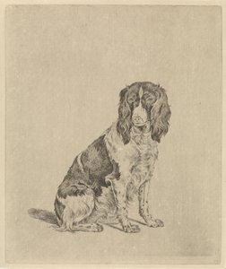 Sitzender Vorstehhund