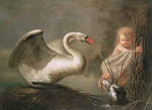 Ein Schwan bewacht sein Nest vor einem Kind und einem Spaniel