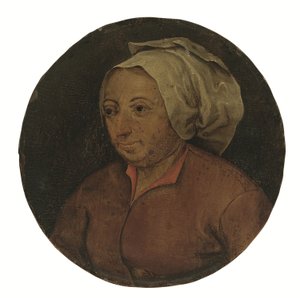 Kopf einer Frau von Pieter the Younger Brueghel
