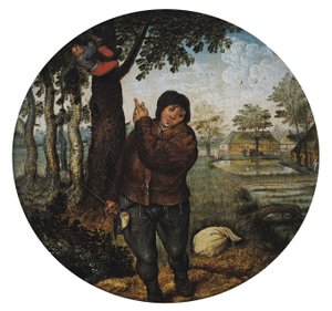 Diebstahl des Vogelnests