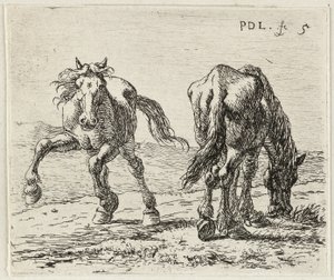 Zwei Pferde auf einer Weide von Pieter van Laer