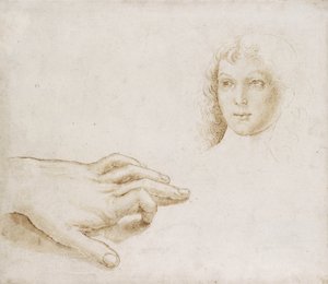 Studien eines Kopfes und einer Hand von Pietro (circle of) Perugino