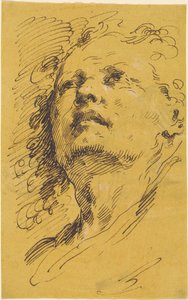 Kopf eines Mannes, der nach oben schaut von Pietro Antonio Novelli