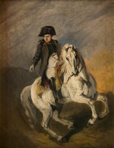 Napoleon auf einem grauen Pferd