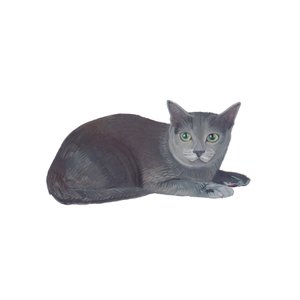 Korat
