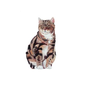 Manx