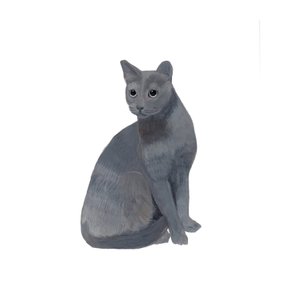 Russisch Blau, 2014 von Polly Horner
