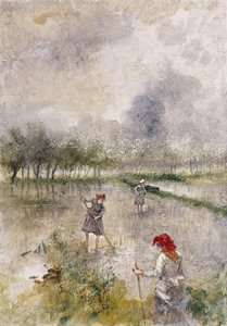 Frau in den Reisfeldern