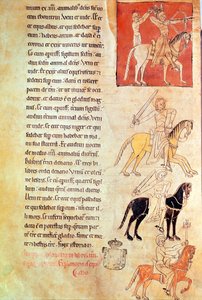 Die vier Reiter der Apokalypse, aus der Apokalypse des St. Jean de Lorvao von Portuguese School