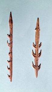 Zwei Harpunen, Oberes Paläolithikum, 35000-10000 v. Chr. von Prehistoric