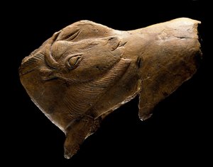 Aufstehender Bison (Skulptur aus Rentierholz aus dem Schutzraum der Madeleine in Dordogne, 11000 v. Chr.) von Prehistoric Prehistoric