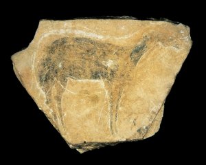 Schwarze Hirschkuh, Parpallo-Höhle, Spanien, Oberes Paläolithikum