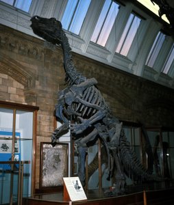 Iguanodon von Prehistoric Prehistoric