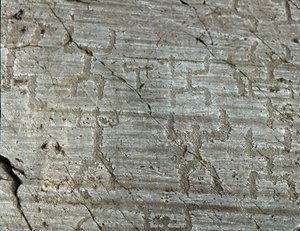 Vorgeschichte, Camunni-Zivilisation, Felskunst: ein Grabfelsen mit stilisierten Darstellungen von Figuren, bekannt als „die Oranten“ mit zum Himmel ausgestreckten Armen. Zeitraum zwischen dem Neolithikum und der Bronzezeit. Roche Nr. 50. Naquane (Brescia)  von Prehistoric Prehistoric