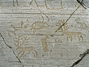 Felskunst der Camunni-Zivilisation: Grabfelsen mit Darstellung von Hirschen von Prehistoric Prehistoric
