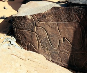 Prähistorie, Felskunst: Grabstein mit Darstellung von Rindern. Tazina-Stil von Prehistoric Prehistoric