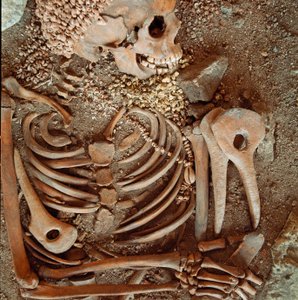 Prähistorie: Skelett und Grabbeigaben eines Jugendlichen, genannt der junge Prinz, aus der Höhle der Arene Candide (Finale Ligure): Halskette aus Muscheln, Hirschhorn und Feuerstein. Steinzeit, Oberes Paläolithikum. Genua, Museo di archeologia Ligure