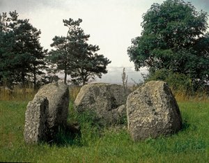 Vorgeschichte: Grab aus der Steinzeit