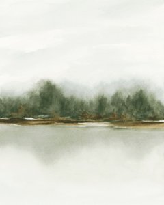 Neblige Waldspiegelung