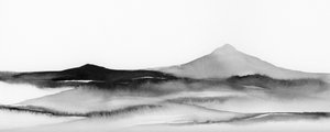 Shadowsofthesummiti 40x16 von Rachel Elise