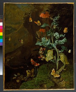 Stillleben mit Blumen, Schmetterlingen und einer Eidechse in einem Tal, vor 1750