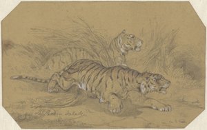 Zwei Tiger schleichen durch das Gras von Raden Sarief Bastaman Saleh