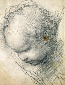 Kopf eines Cherubs