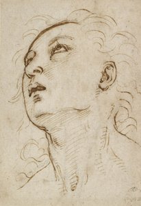 Kopf eines jungen Mannes, der nach oben schaut, ca. 1497-1504