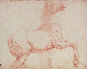Studie für das Marmorpferd des Quirinals