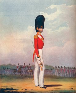 Offizier, Grenadier Guards von Ralph Nevill