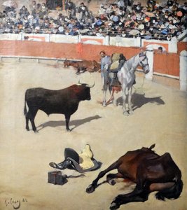 Stiere
