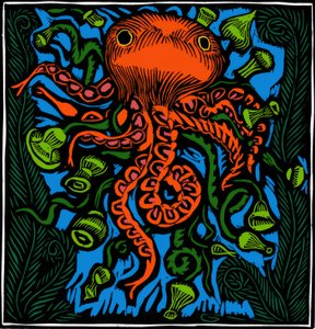Zoologie / Meeresleben / Oktopus von Raoul Dufy