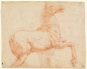 Ein Marmorpferd auf dem Quirinalshügel (recto)