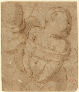Gefesselter Amor von Raphael