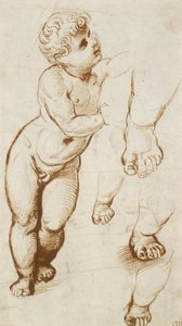 Recto: Das Jesuskind und andere Studien, 1500-1520
