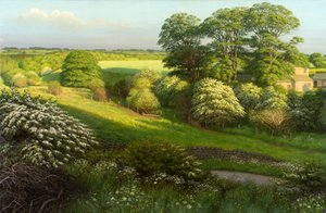 Landschaft