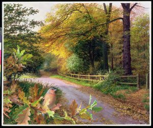 Oktoberabend auf Crag Lane