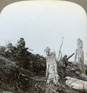Angriff im Trones-Wald, Somme, Frankreich, Erster Weltkrieg, 1916 von Realistic Travels Publishers