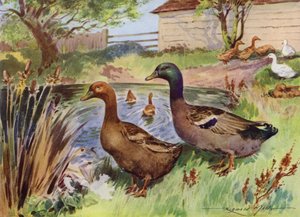 Illustration für Mein Bauernhof