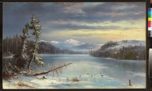 Verschneite Landschaft